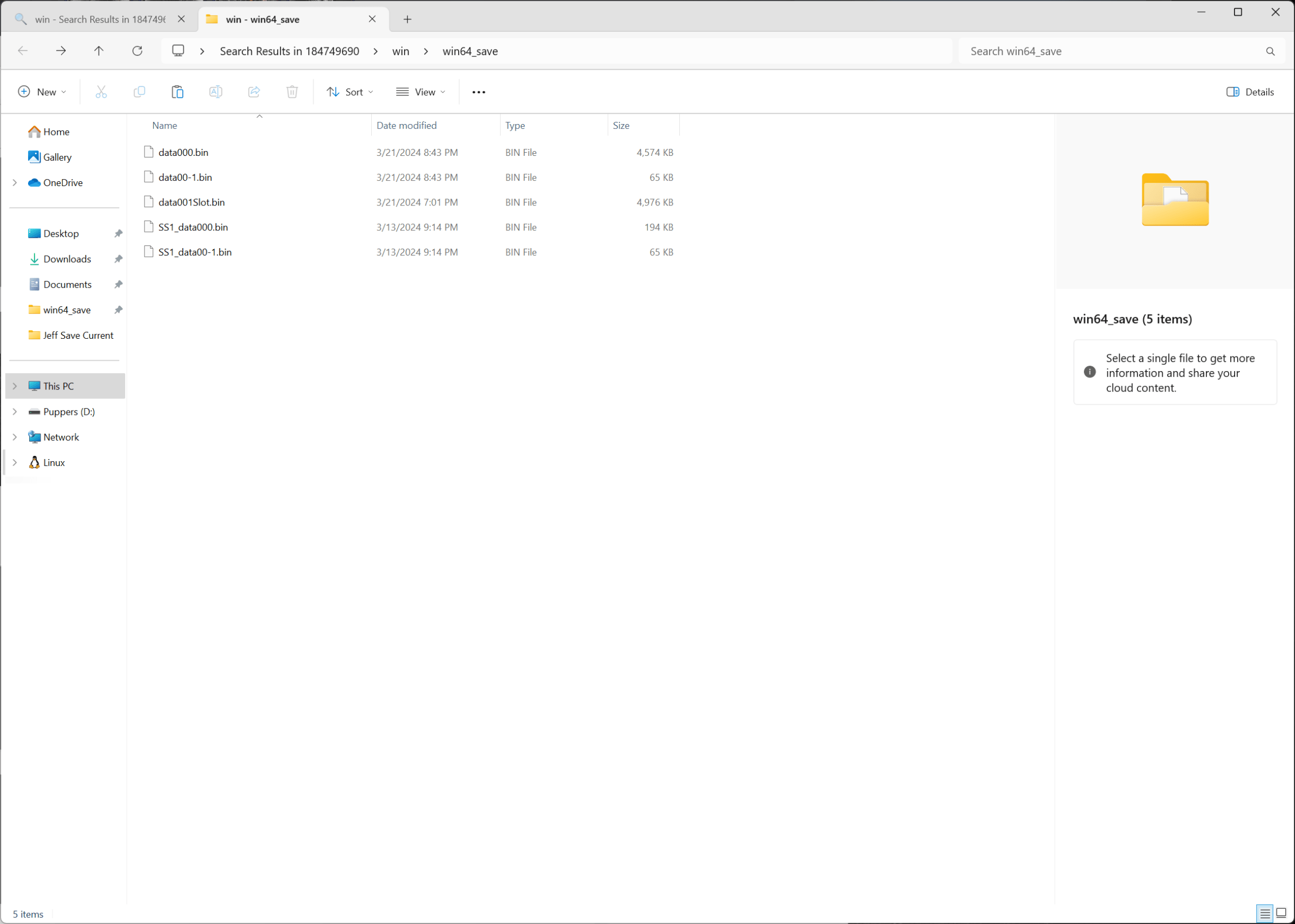 The Dragon’s Dogma 2 save files in File Explorer
