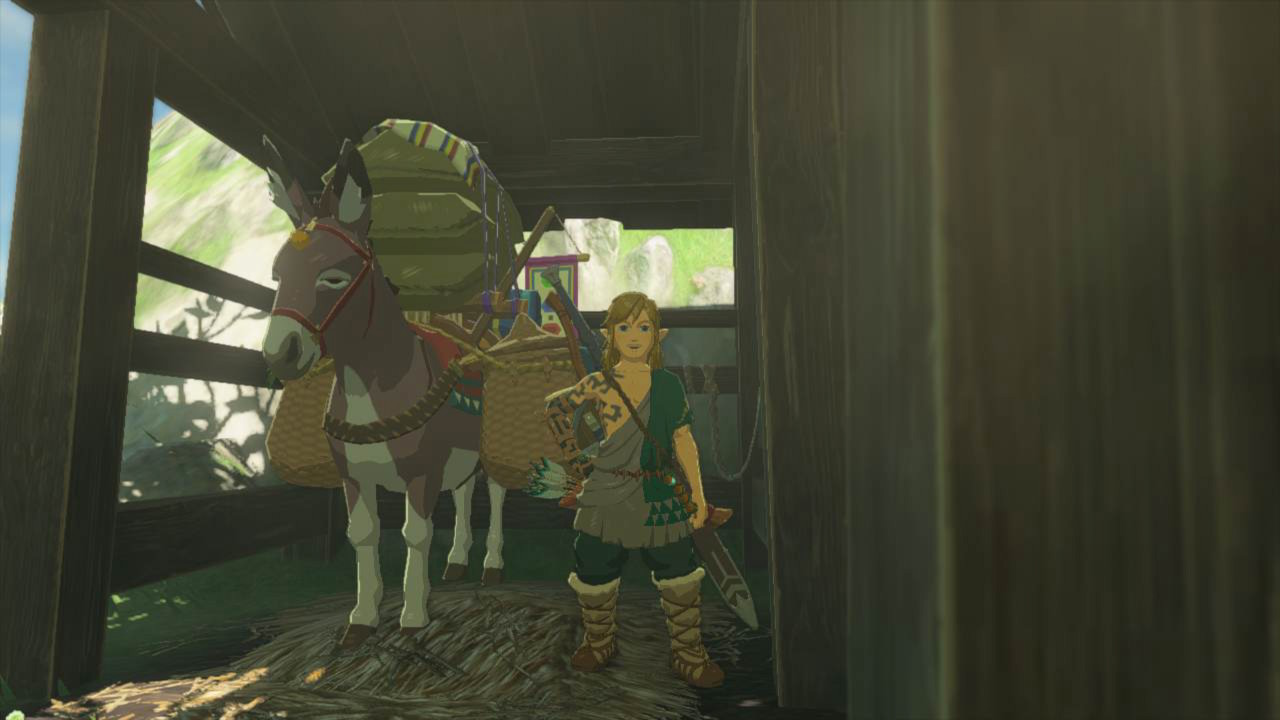 Link posing with a donkey loaded up with goods in Zelda: Tears of the Kingdom