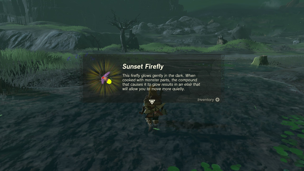 The description for a Sunset Firefly in The Legend of Zelda: Tears of the Kingdom