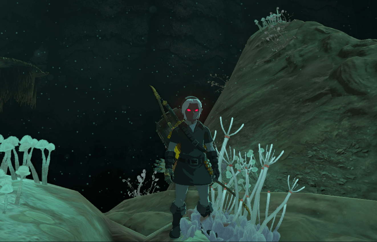 Dark Link stands in the floral parts of the Depths in Tears of the Kingdom while wearing the dark armor.