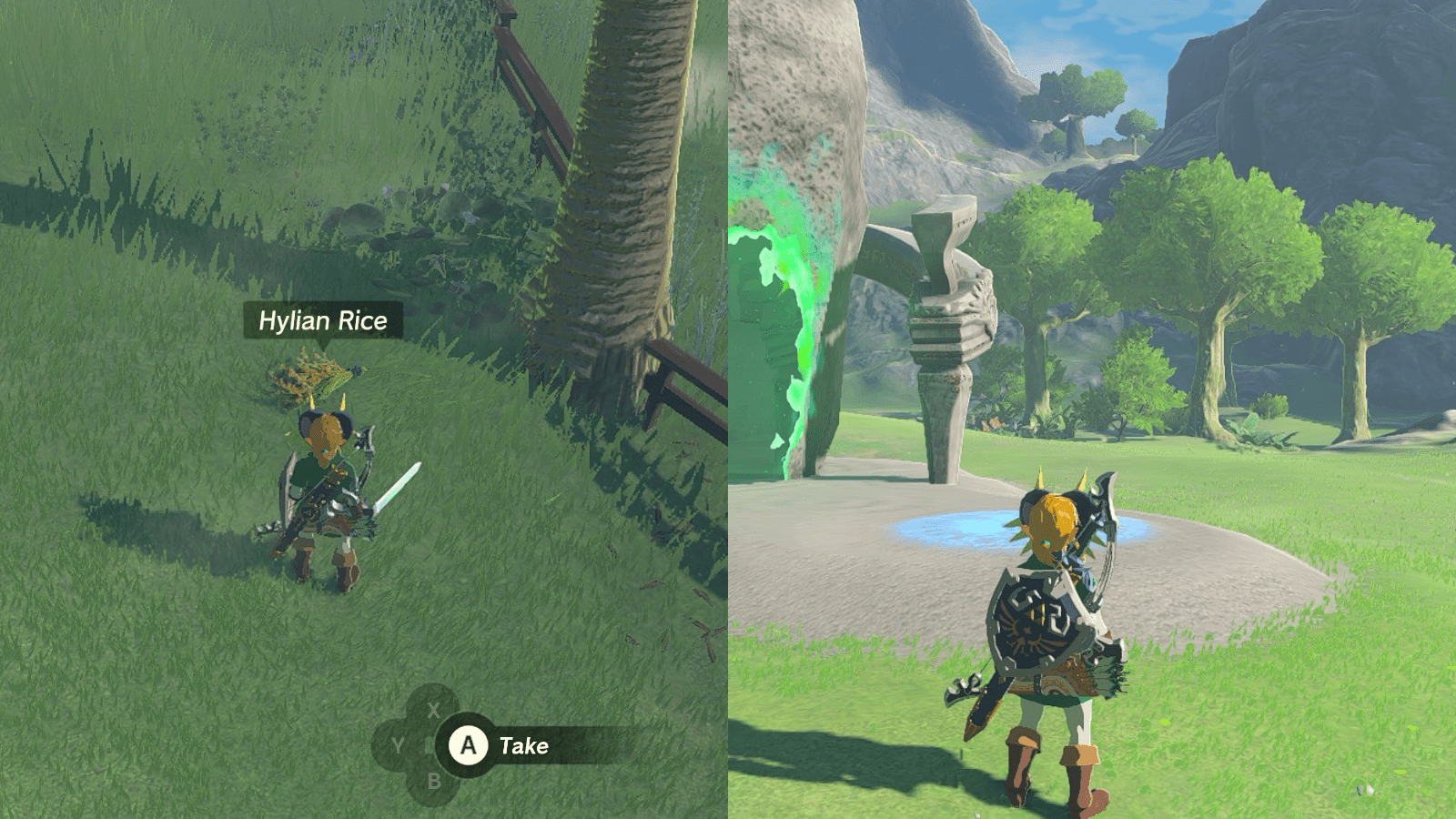 Link looking at some newly cut Hylian rice and a few trees behind the Sifumim Shrine in The Legend of Zelda: Tears of the Kingdom.