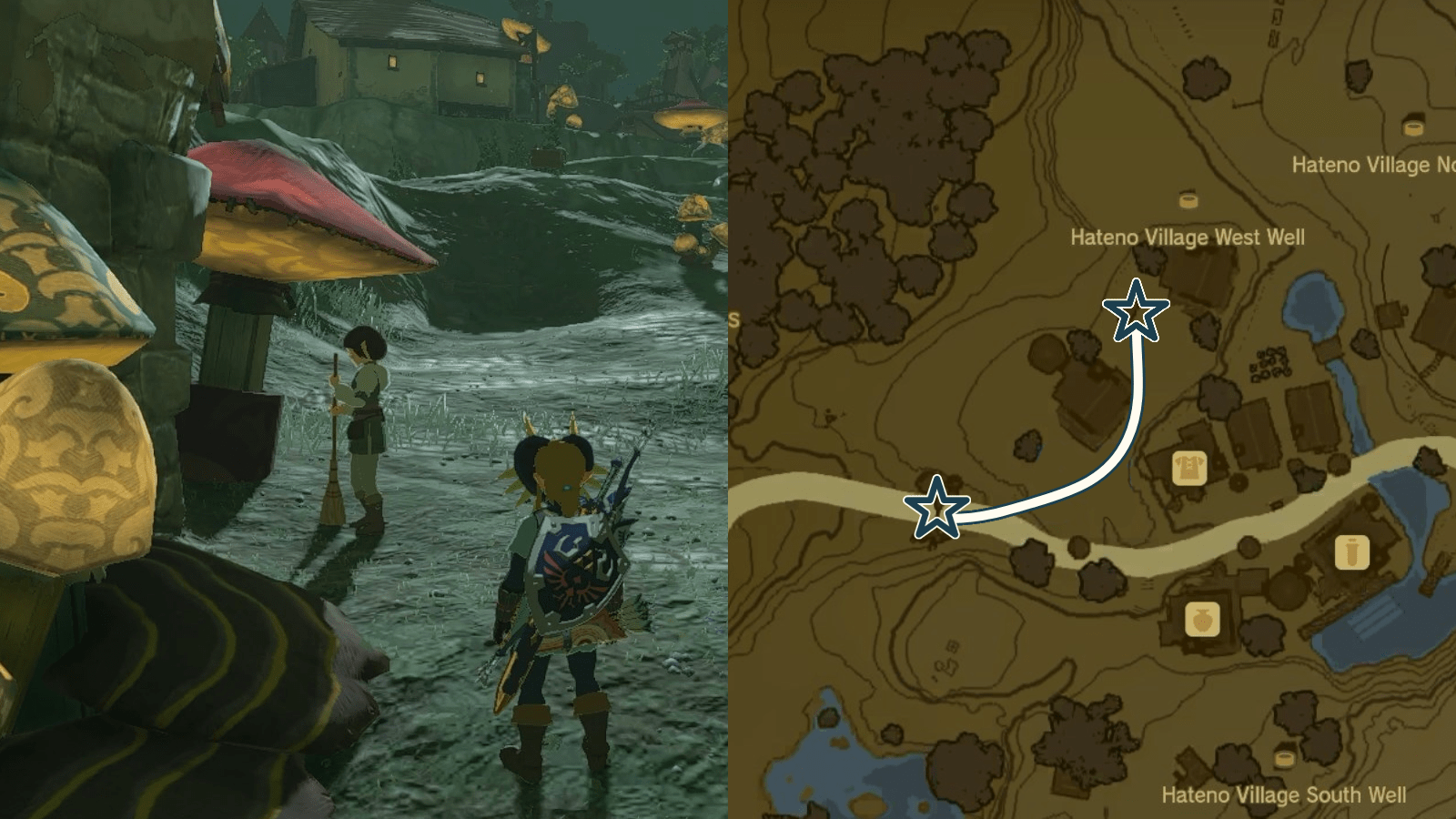 Tamana path during the Team Cece or Team Reede side adventure in The Legend of Zelda: Tears of the Kingdom