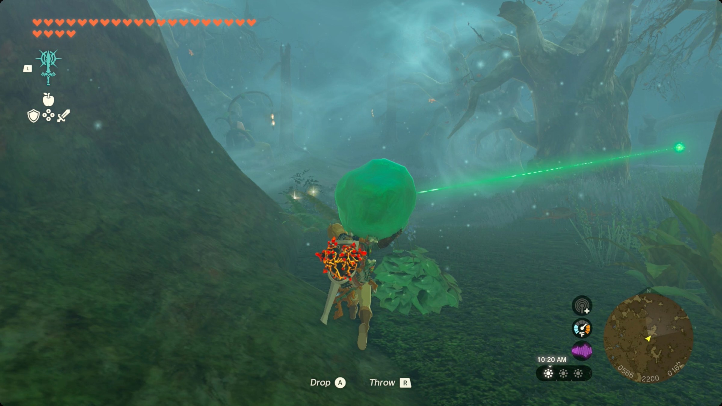 The Legend of Zelda: Tears of the Kingdom Link carrying the shrine crystal to Pupunke Shrine in the Korok Forest.