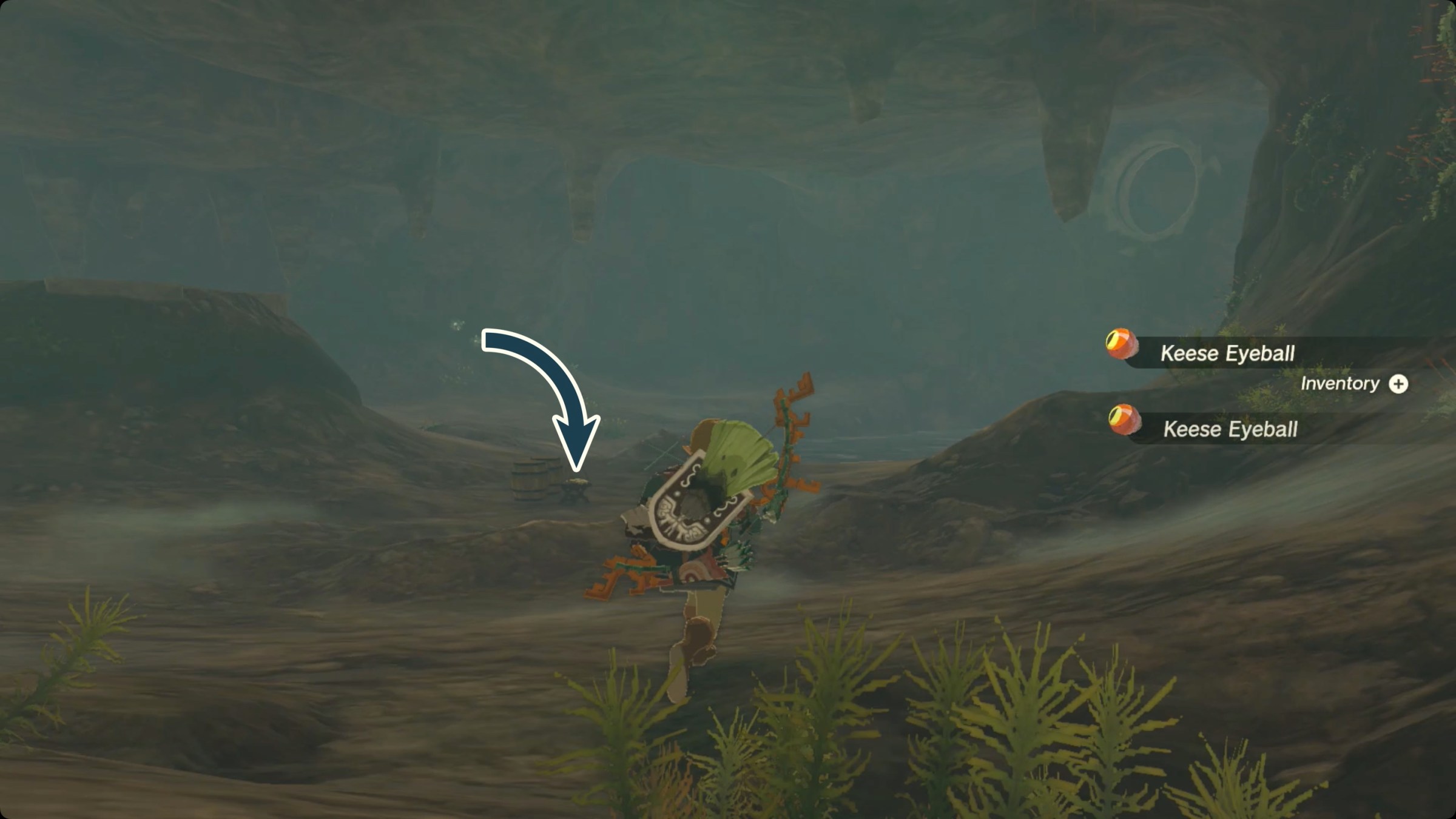 The Legend of Zelda: Tears of the Kingdom Tattered Notebook location in Tobio’s Hollow Cave.