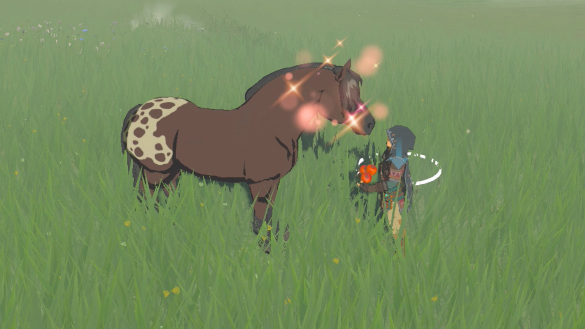 The Legend of Zelda: Tears of the Kingdom Link feeding a tamed horse apples