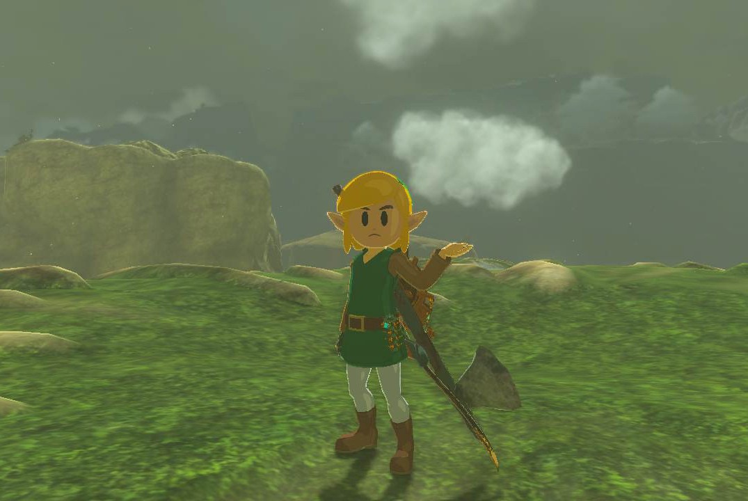 Link wears the Awakening Armor in a field in Zelda Tears of the Kingdom.