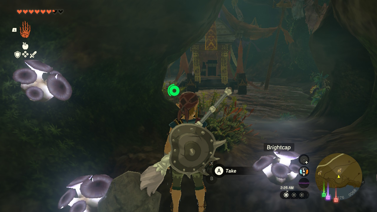 Link enters the chest room on the other side of the waterfall in Zelda: Tears of the Kingdom