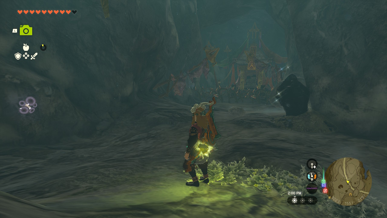 Link stands close to a treasure room, which is guarded by a vine wall in Zelda: Tears of the Kingdom