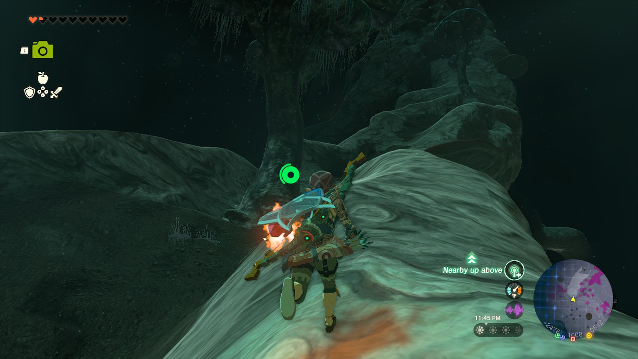 Link begins to sprint over the root in Zelda: Tears of the Kingdom