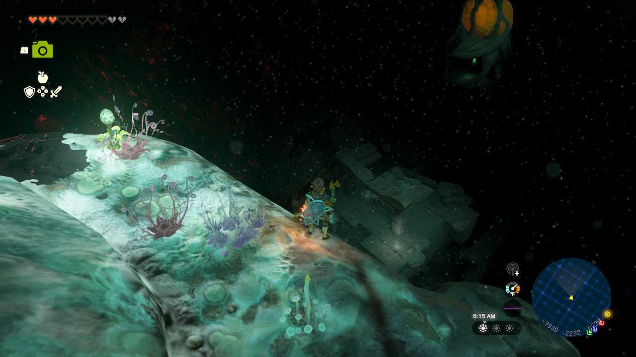 Link stands on a cliff, overlooking a lightroot nearby in Zelda: Tears of the Kingdom