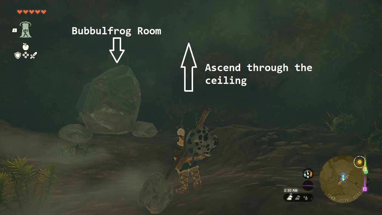 Link stands in the room before the Bubbulfrog, from where he can Ascend to enter the tower in Zelda: Tears of the Kingdom