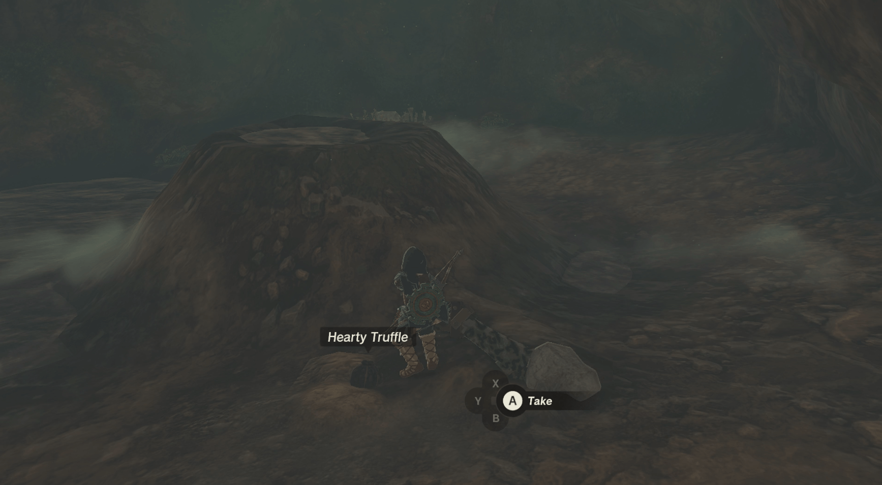 Link stands inside a dark cave in The Legend of Zelda: Tears of the Kingdom. To the right of him, there is a hearty truffle he can pick up. It’s labeled with white text.