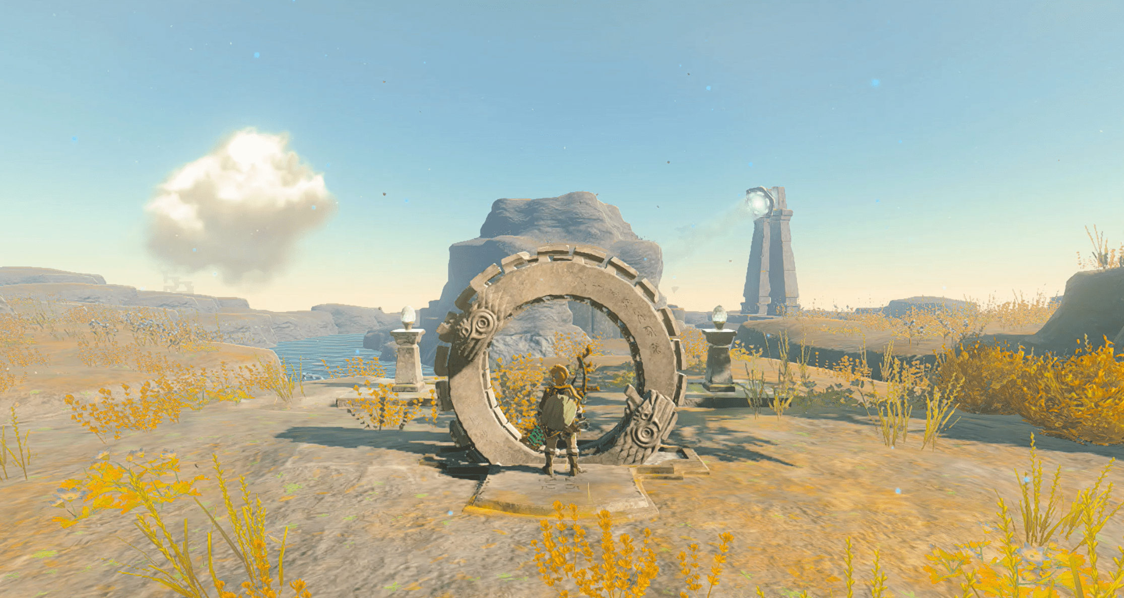 Link looks at a circular dragon ruin in Zelda: Tears of the Kingdom