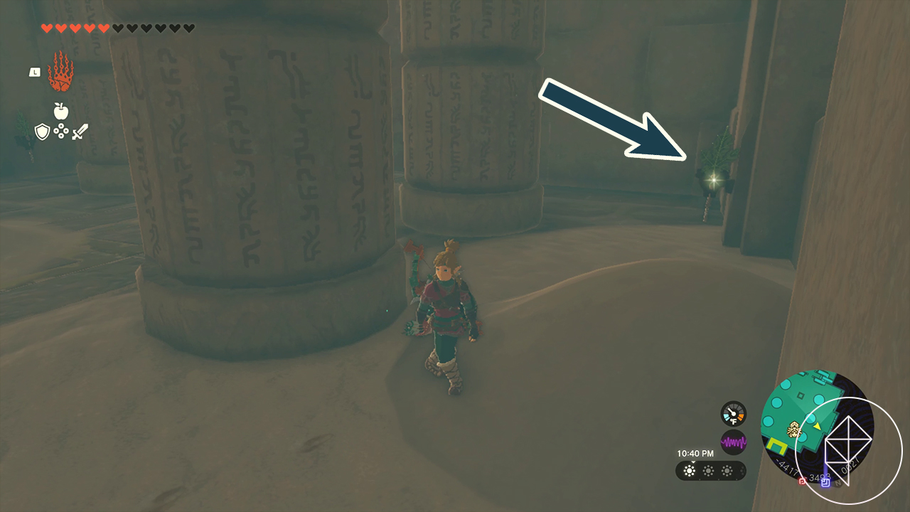 The Legend of Zelda: Tears of the Kingdom Link inside the Lightning Temple with an arrow pointing to a Korok Frond in the corner