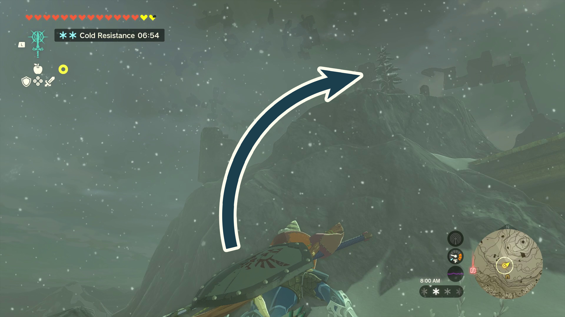 A snowy mountain looms before Link. On the top stands a lone cedar tree, which is highlighted by a superimposed arrow.
