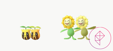Sunkern and Sunflora in Pokémon Go with their shiny forms. Shiny Sunkern is a darker gold color and shiny Sunflora is more of a yellow-green tint.