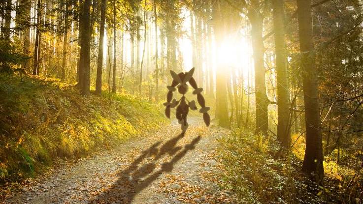 Mega Lopunny walking through a forest path at sunrise.