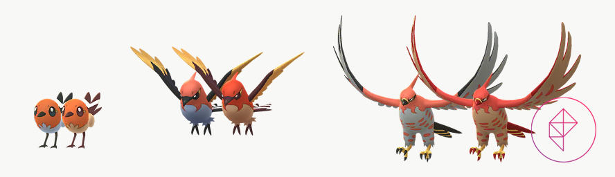 Fletchling and its evolutions compared with its Shiny versions. The Shiny versions are more golden yellow.