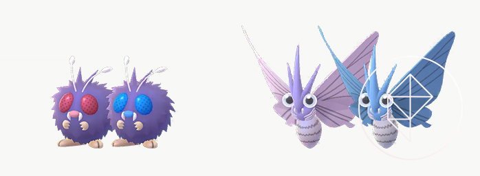 Venonat and Venomoth standing near their Shiny versions, which both turn blue