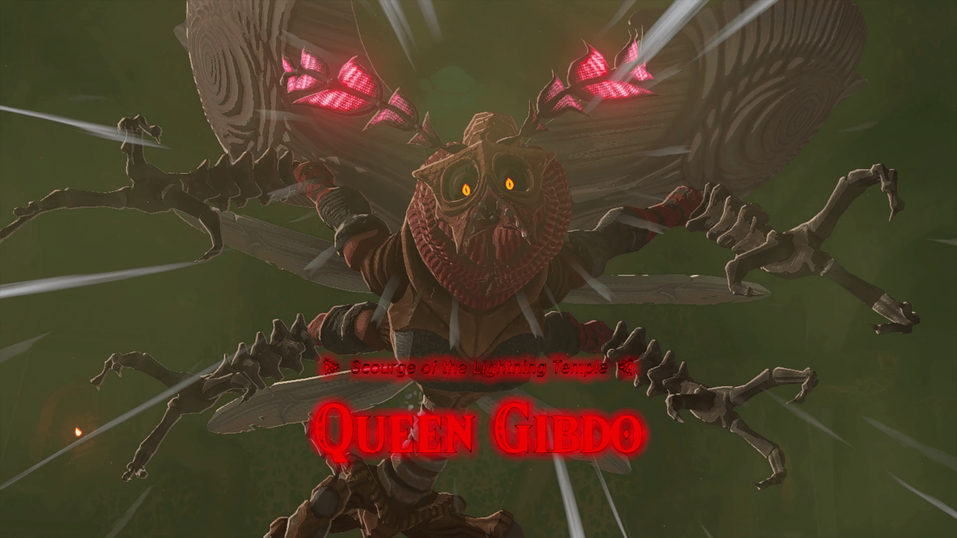The Legend of Zelda: Tears of the Kingdom Queen Gibdo boss fight splash screen.