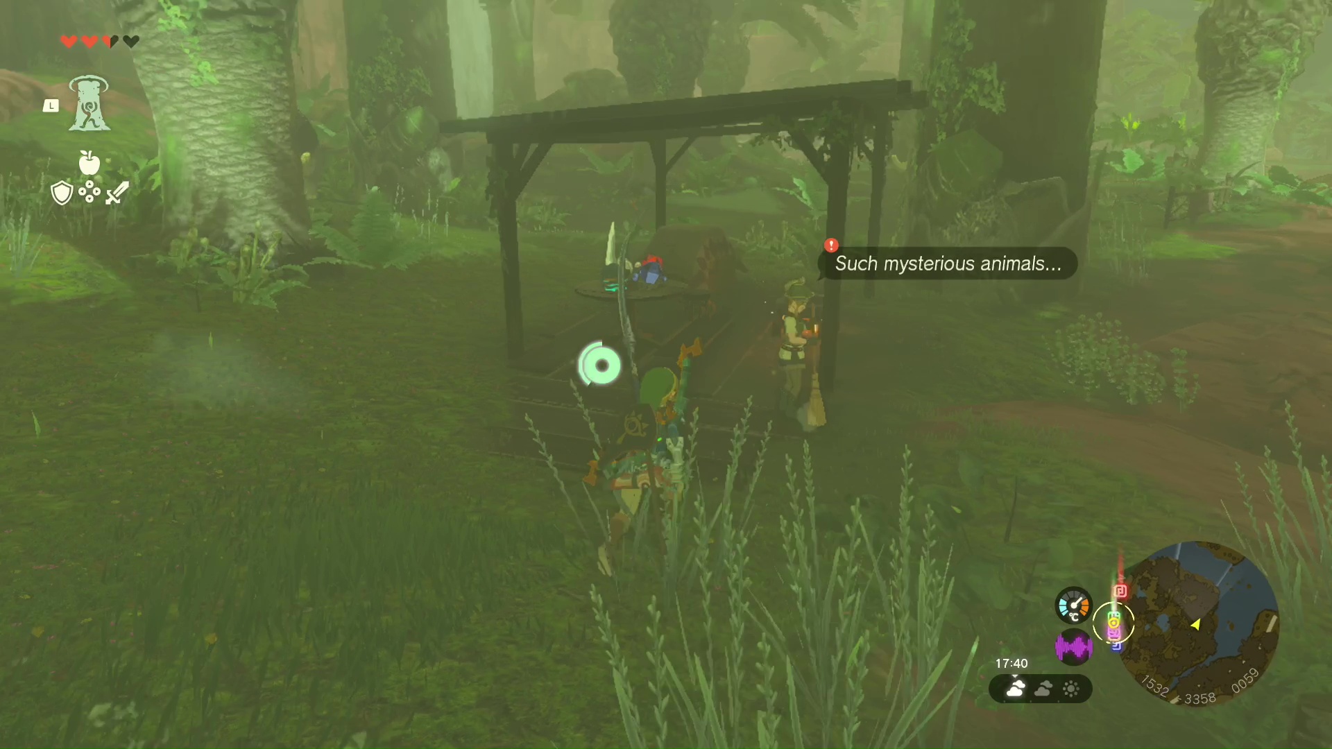 Link approaching Cima, who is saying “Such mysterious creatures...”