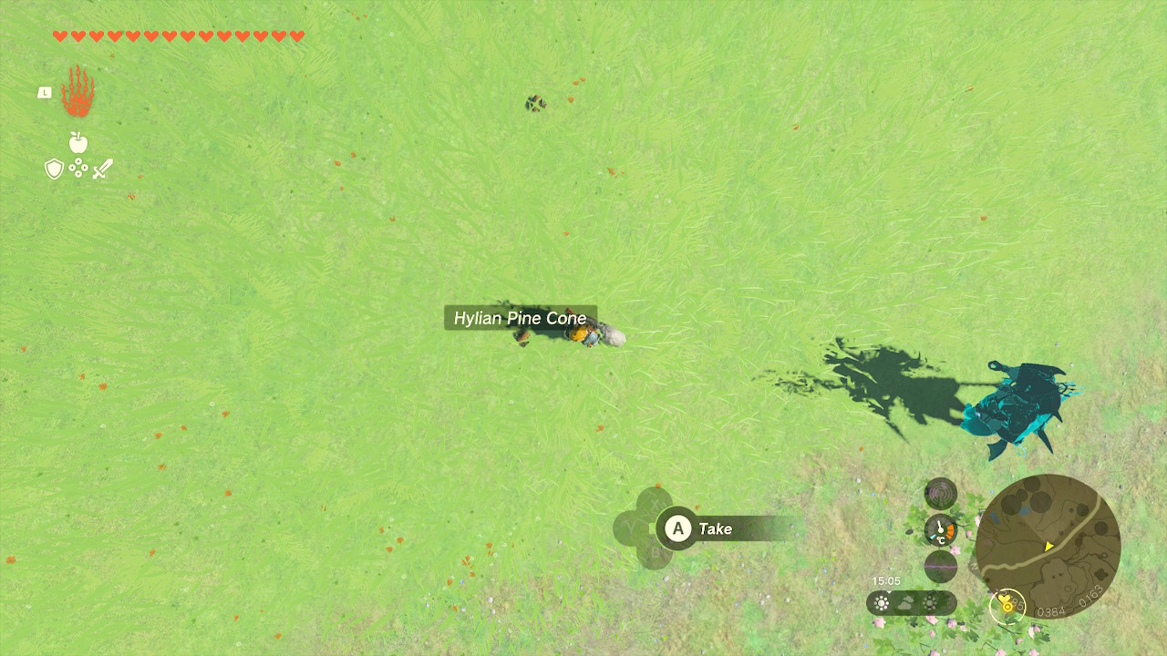 Looking at a Hylian Pine Cone from above