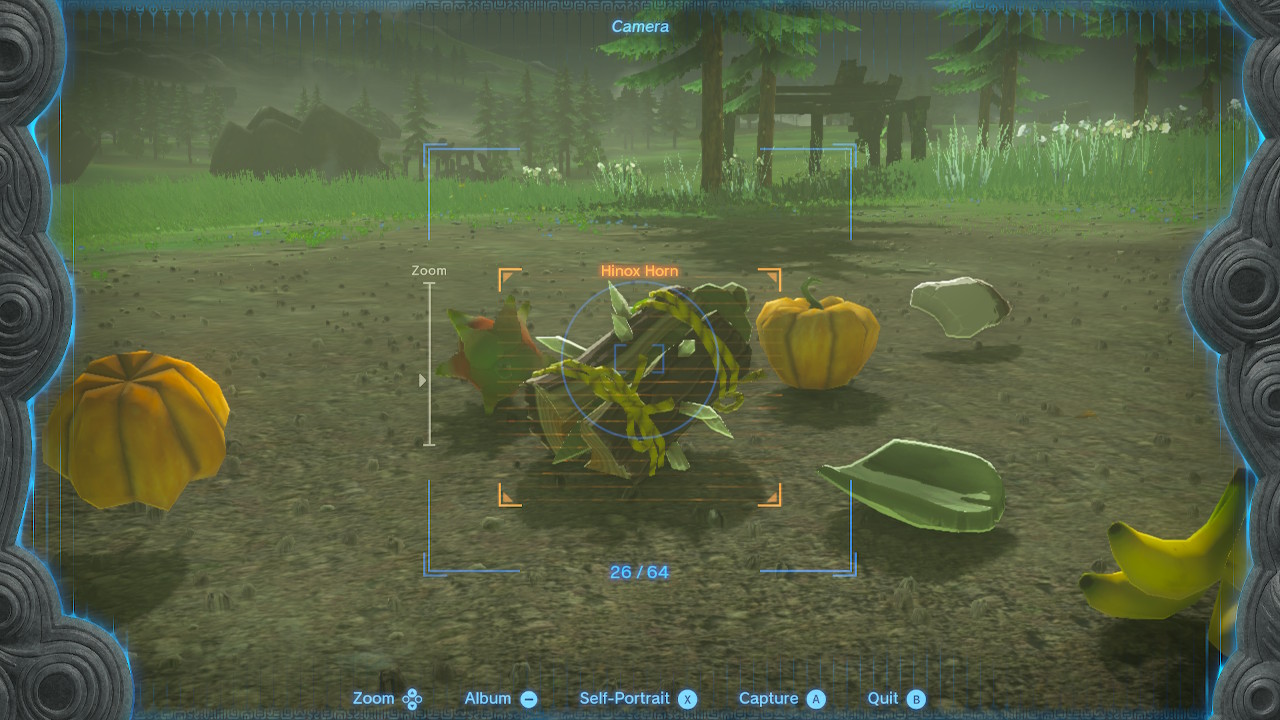 Link takes a photo of a bunch of fruit on the ground in Zelda Tears of the Kingdom.