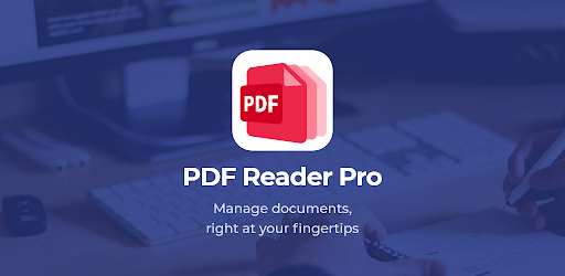 PDF 리더 프로