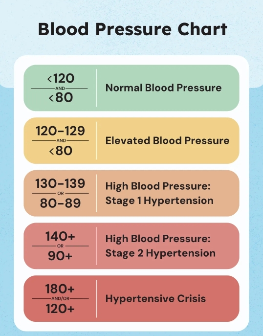Blood Pressure Chart: What Your Reading Means